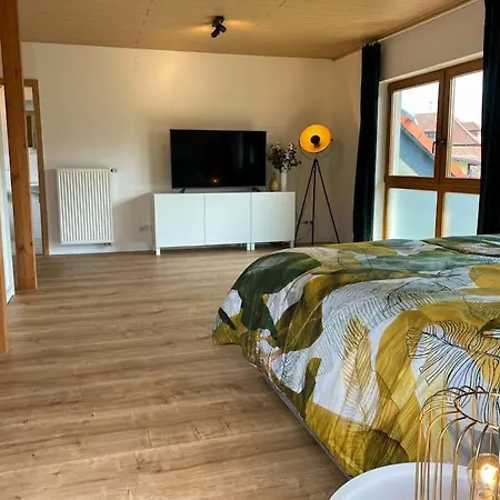 Gro-ferienhaus Apartment